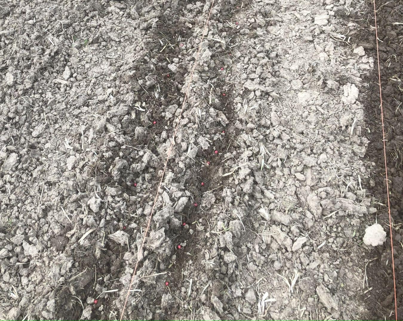 How to Fix Heavy Clay in Your Garden Easy Tips East Fork Growing