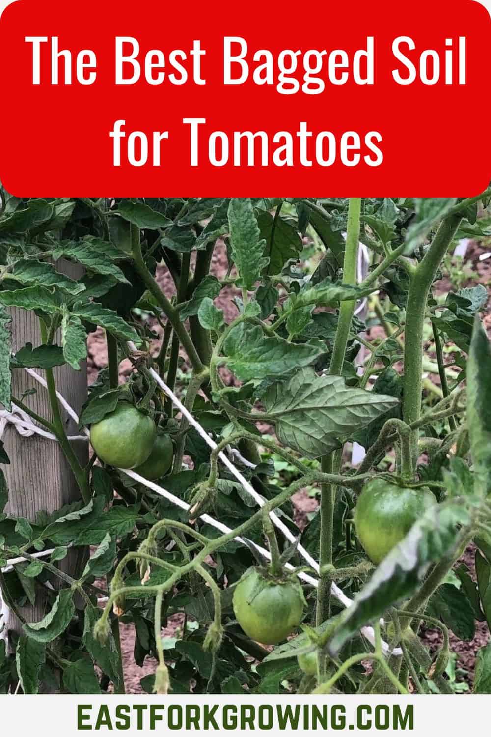 BEST SOIL FOR CONTAINER GROWING TOMATOES visual data 7