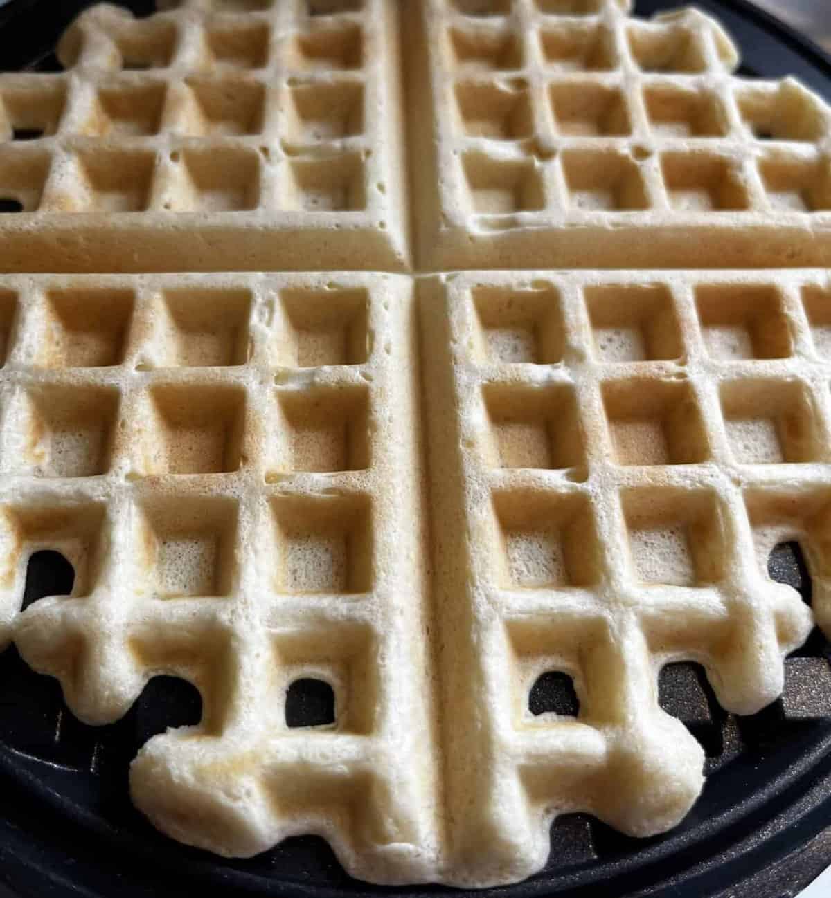 Waffle Recipe Without Milk Crispy, Fluffy, and Easy East Fork Growing