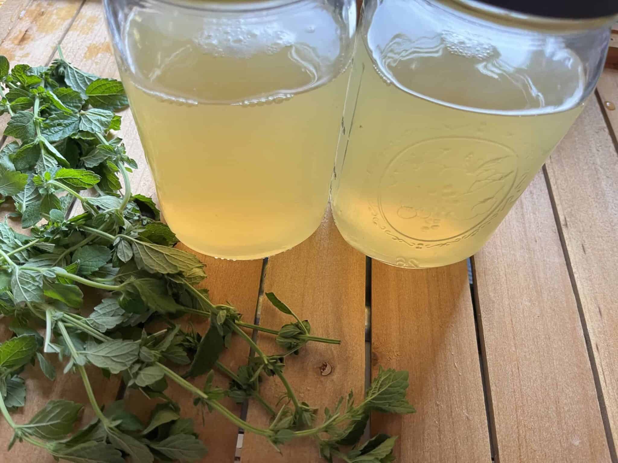 How to Make Lemon Balm Tea A Step-by-Step Guide