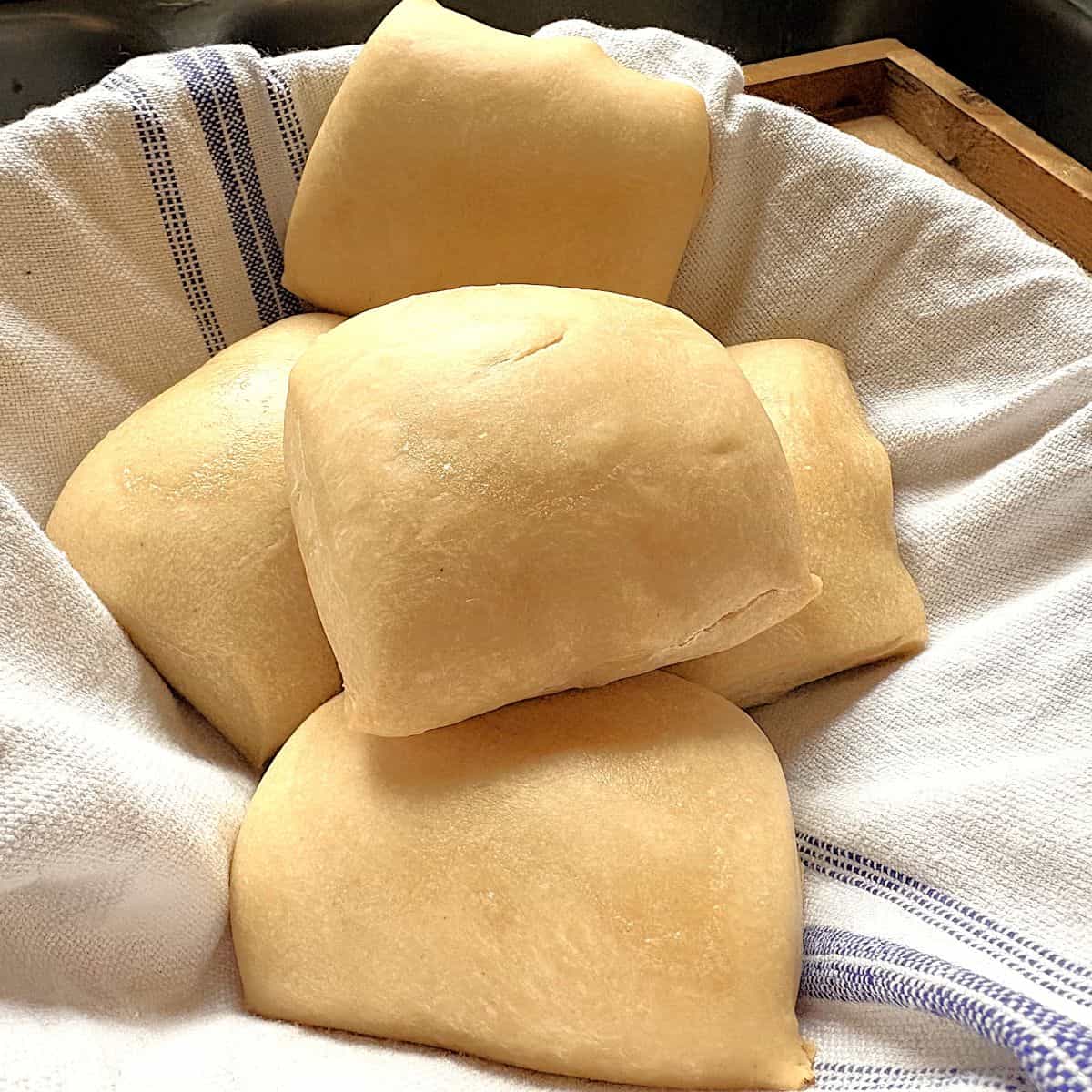 sourdough steakhouse rolls on a white kitchen towel