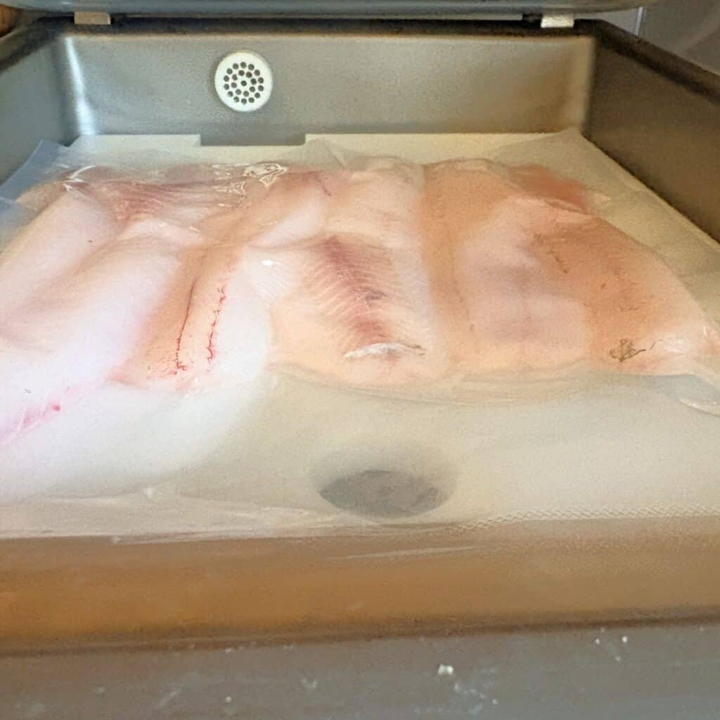 fresh fish fillets in a plastic bag inside a vacuum sealer