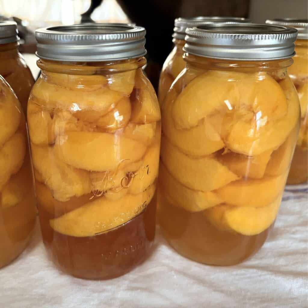 canned peaches after processing
