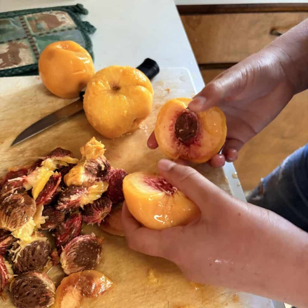 a person holding two peach halves with the pit still inside one half with a pile of peach pits and a knife nearby