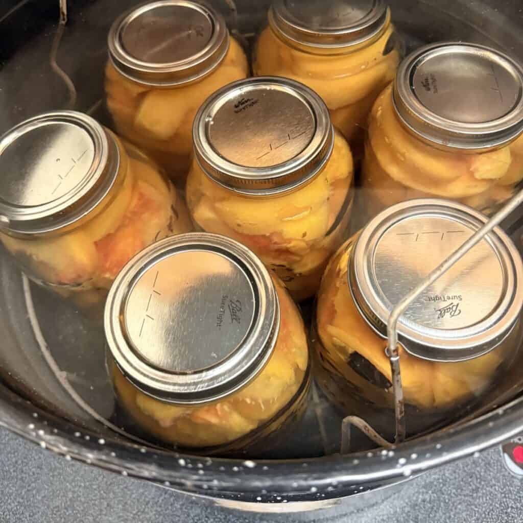 quart canning jars full of peaches in a water bath canner