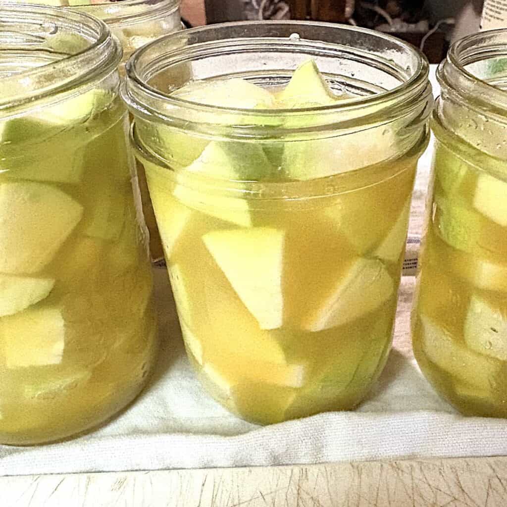 chopped, peeled zucchini with lemon juice, sugar and pineapple juice in glass pint jars sitting on a white kitchen towel