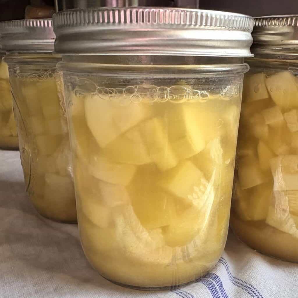 processed glass pint jars with zucchini pineapple in them